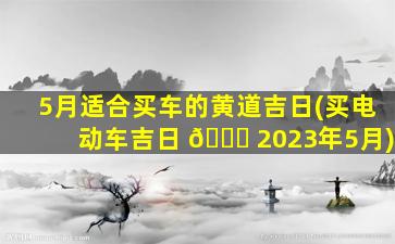5月适合买车的黄道吉日(买电动车吉日 🕊 2023年5月)